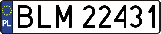 BLM22431