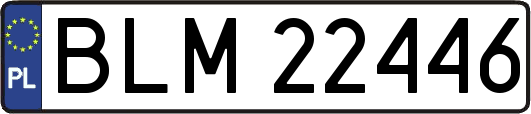 BLM22446
