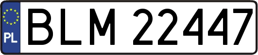 BLM22447