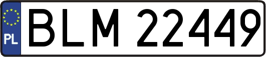 BLM22449