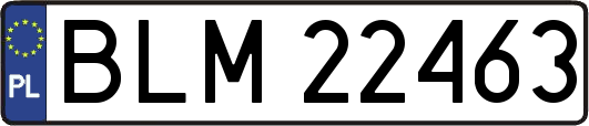 BLM22463