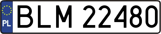 BLM22480