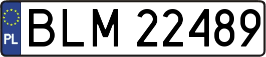 BLM22489