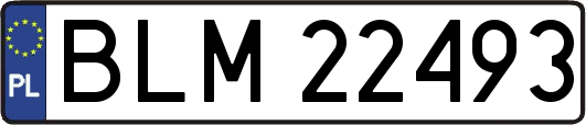 BLM22493