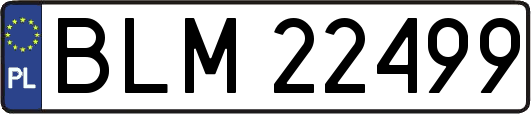 BLM22499