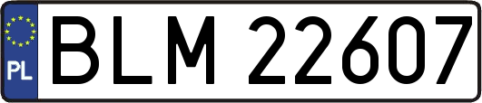 BLM22607