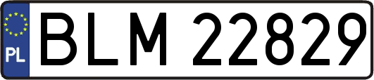 BLM22829