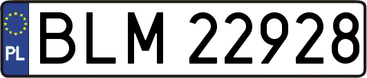 BLM22928