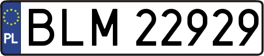 BLM22929