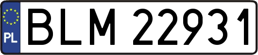 BLM22931