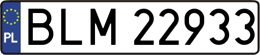 BLM22933