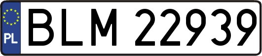 BLM22939