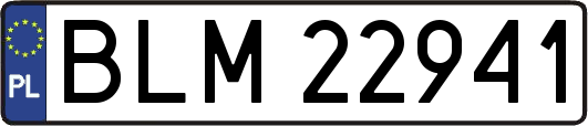 BLM22941
