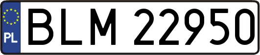 BLM22950