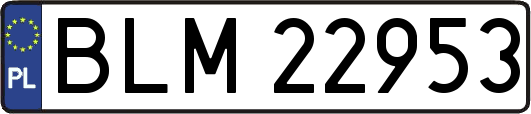 BLM22953