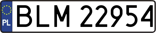 BLM22954