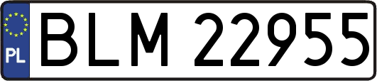 BLM22955