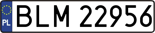 BLM22956