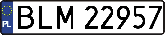 BLM22957