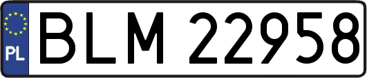 BLM22958