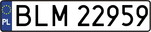 BLM22959