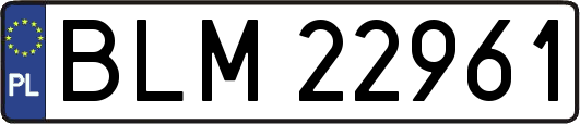 BLM22961