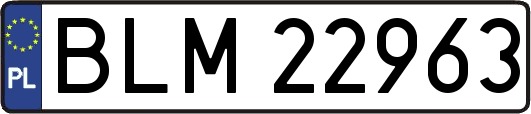 BLM22963