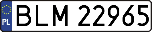 BLM22965