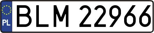 BLM22966