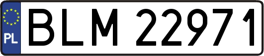 BLM22971