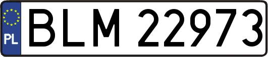 BLM22973