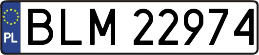 BLM22974