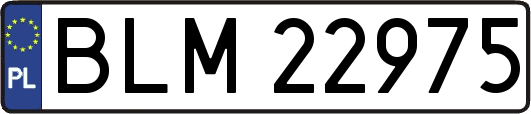 BLM22975