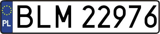 BLM22976