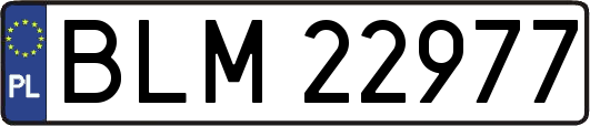 BLM22977