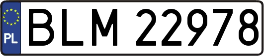 BLM22978