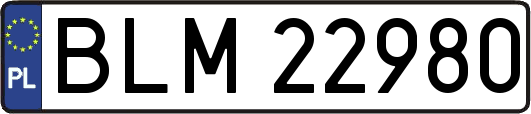 BLM22980