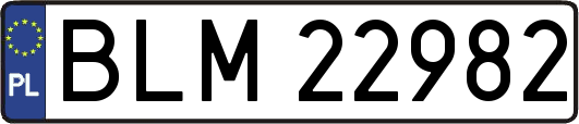 BLM22982