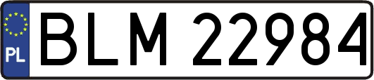 BLM22984