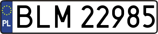 BLM22985