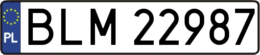 BLM22987