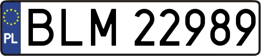 BLM22989