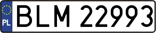 BLM22993