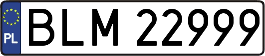 BLM22999