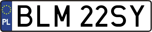 BLM22SY