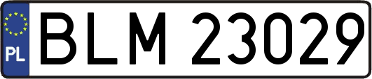 BLM23029