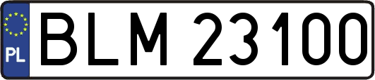 BLM23100