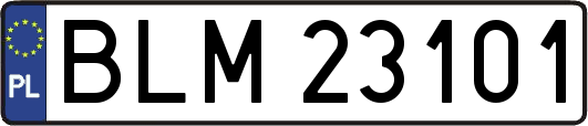 BLM23101