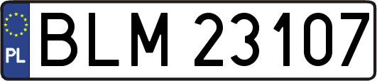BLM23107