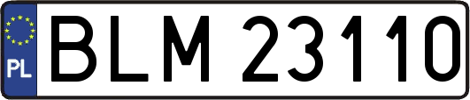 BLM23110